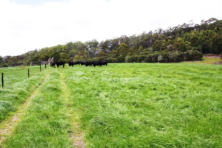 Fifth view of Homely rural property listing, Lot 4 Tierneys Road, Mengha TAS 7330