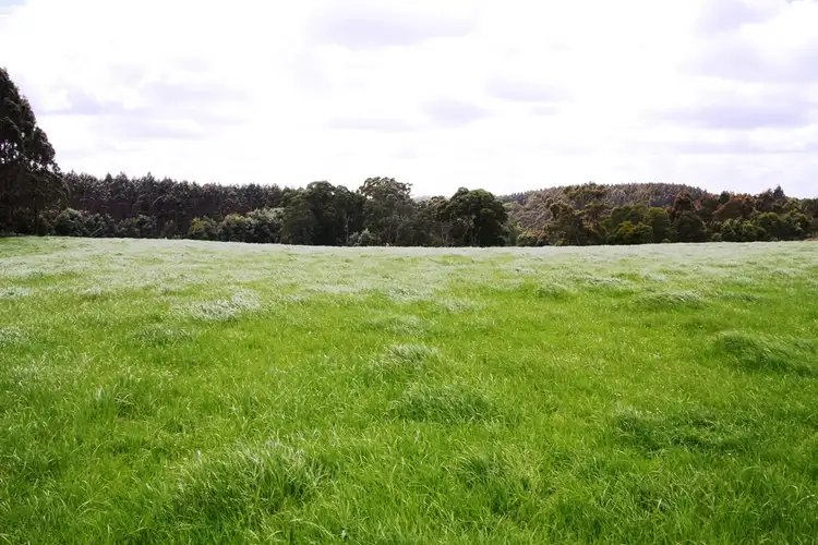 Seventh view of Homely rural property listing, Lot 4 Tierneys Road, Mengha TAS 7330