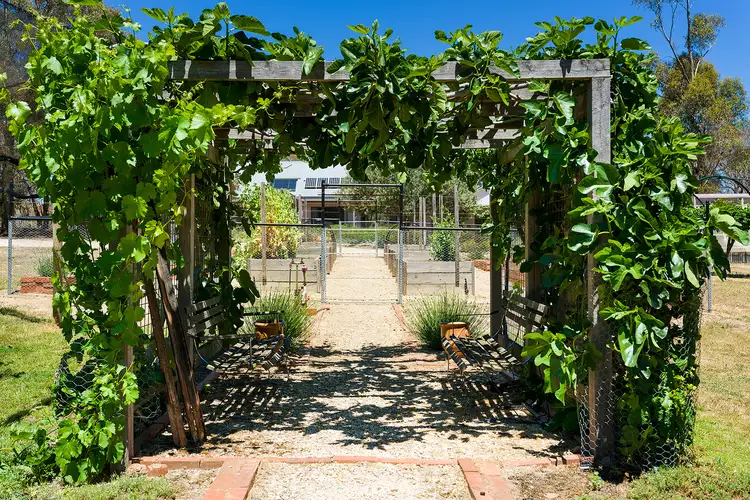 Third view of Homely rural property listing, 149 Congdon Road, Barkers Creek VIC 3451