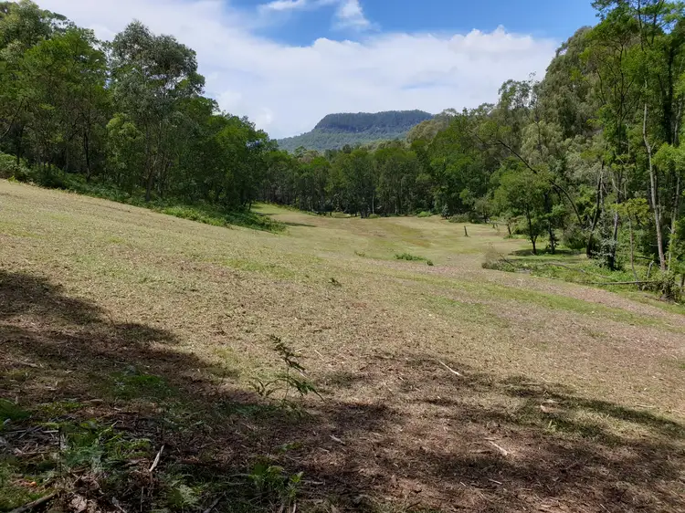 Main view of Homely rural property listing, LOT 88 Abernethys Road, Budgong NSW 2577