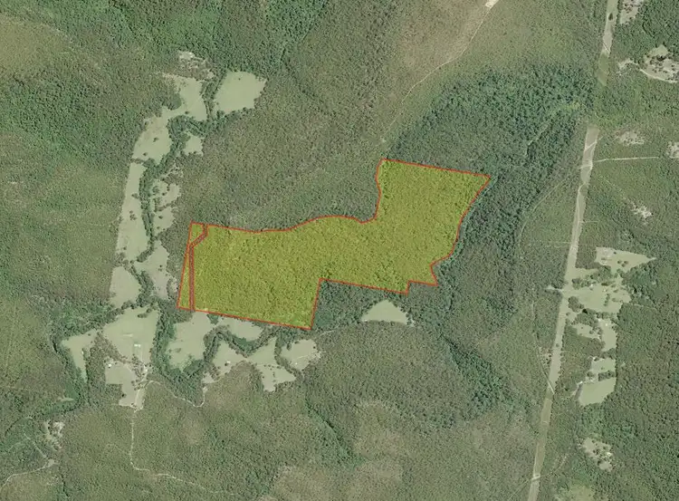 Third view of Homely rural property listing, LOT 88 Abernethys Road, Budgong NSW 2577