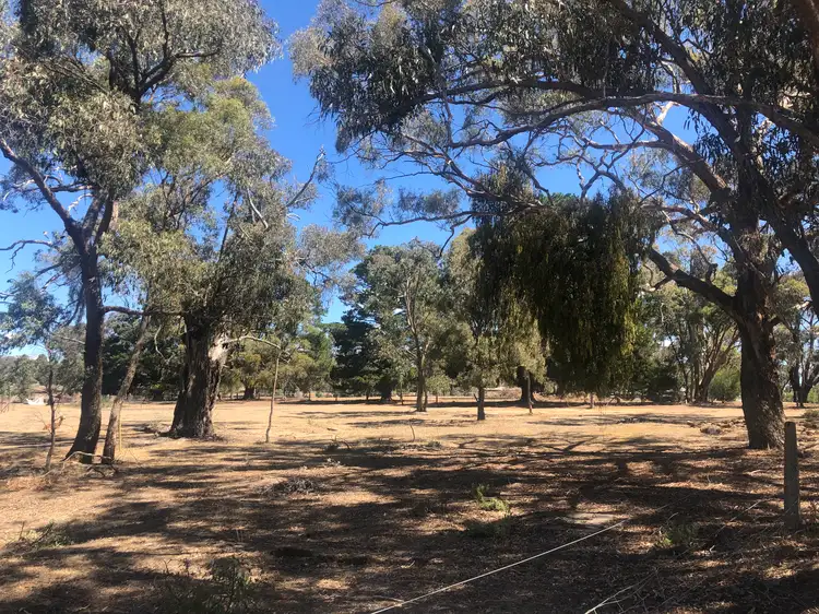 Main view of Homely land listing, 20 Gilbert Street, Elphinstone VIC 3448