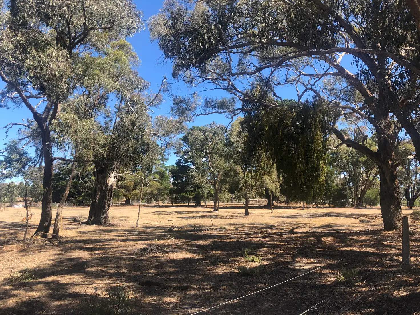 Main view of Homely land listing, 20 Gilbert Street, Elphinstone VIC 3448