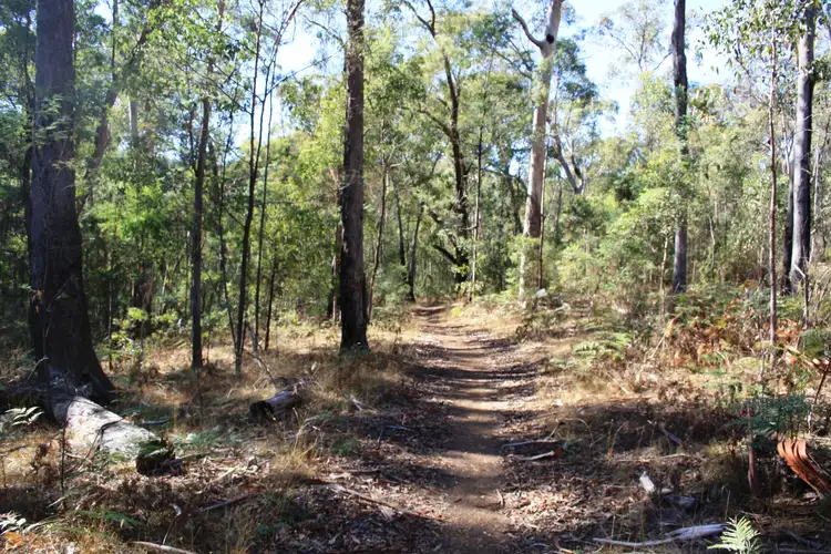 Third view of Homely land listing, 37 Cemetery Lane, Jamieson VIC 3723