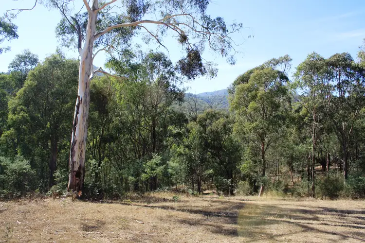 Fifth view of Homely land listing, 37 Cemetery Lane, Jamieson VIC 3723