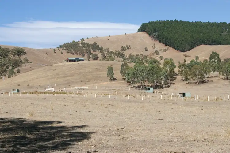 Main view of Homely rural property listing, 117 Mcnallys Road, Strath Creek VIC 3658
