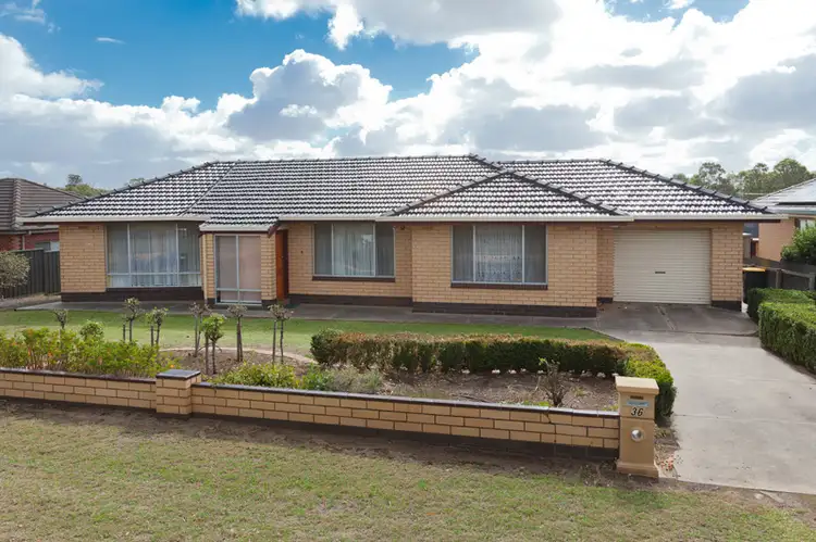 Main view of Homely house listing, 36 Main Street, Millicent SA 5280