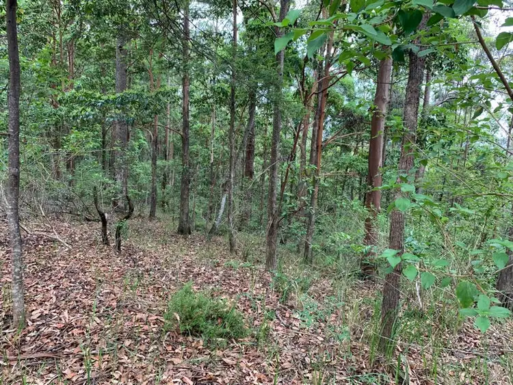Fourth view of Homely land listing, 92 Hewitt Road, Mount Mee QLD 4521