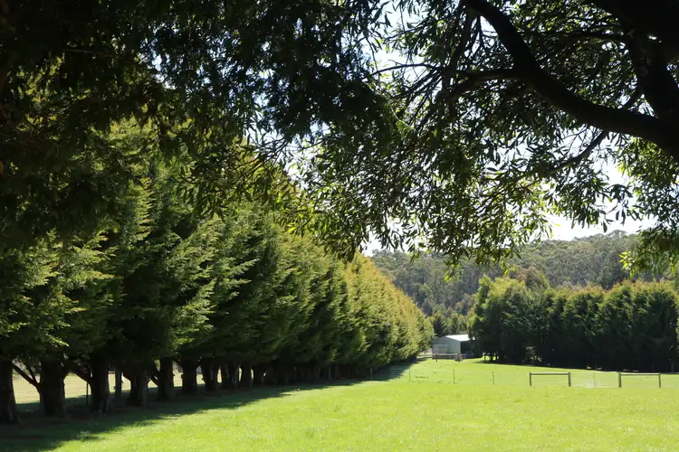 Fourth view of Homely land listing, LOT 2/170 Mulcahys Road, Trentham VIC 3458