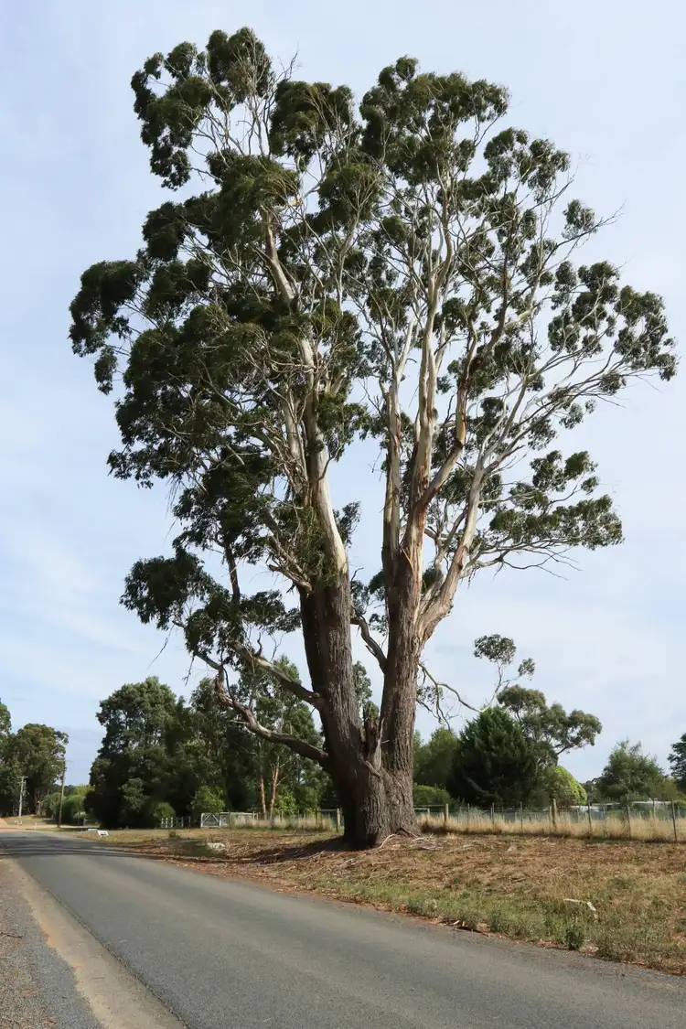 Third view of Homely land listing, 10 Cranneys Lane, Trentham VIC 3458