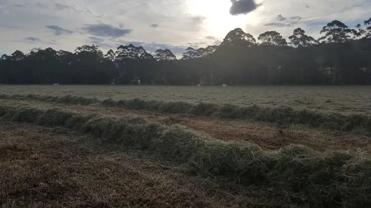 Sixth view of Homely rural property listing, 271D Lemon Tree Creek Road, Termeil NSW 2539