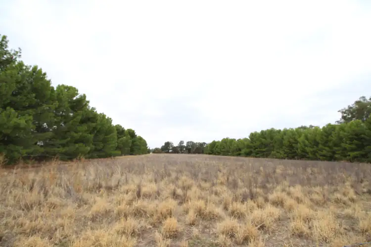 Second view of Homely land listing, Lot 12 Green Street West, Lockhart NSW 2656