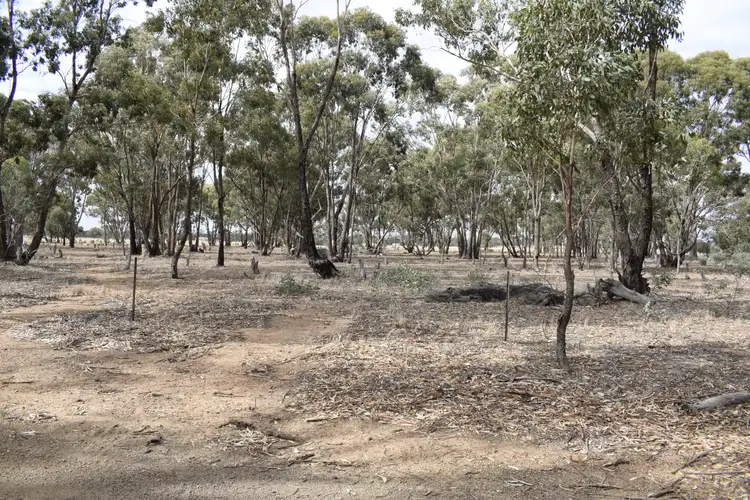 Fourth view of Homely rural property listing, LOT 23 Wet Lane, Inglewood VIC 3517