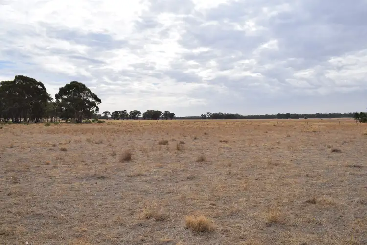 Fifth view of Homely rural property listing, LOT 23 Wet Lane, Inglewood VIC 3517