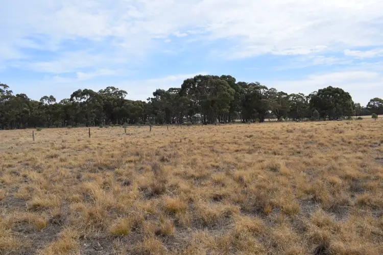 Seventh view of Homely rural property listing, LOT 23 Wet Lane, Inglewood VIC 3517