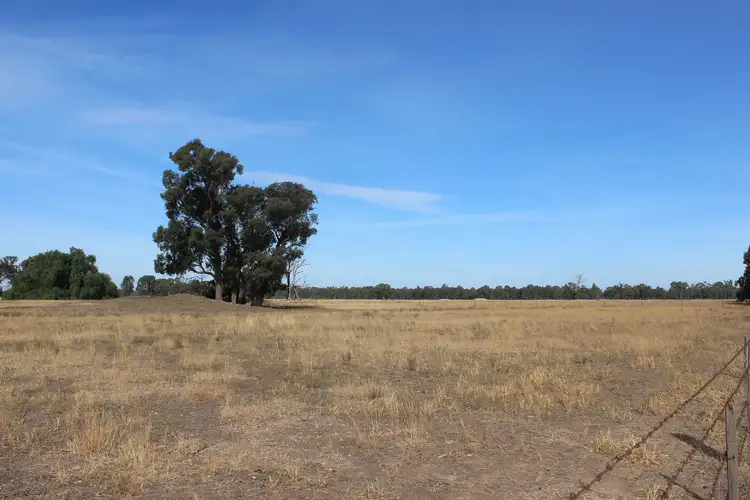 Fifth view of Homely rural property listing, 559 Dickers Road, Stewarton VIC 3725