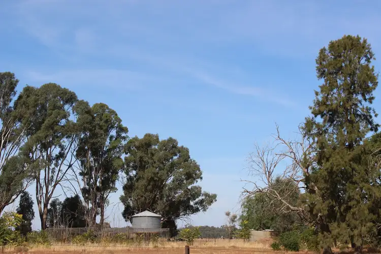 Seventh view of Homely rural property listing, 559 Dickers Road, Stewarton VIC 3725