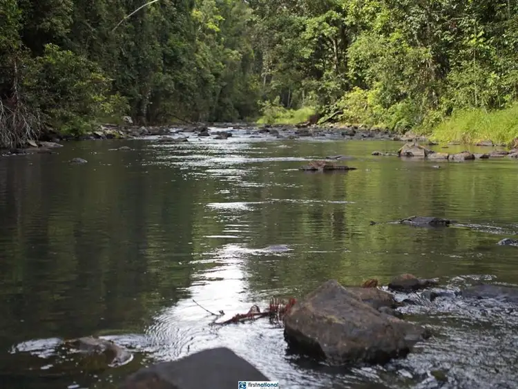Third view of Homely rural property listing, 201 Davies Road, Malanda QLD 4885