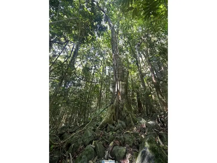Fourth view of Homely rural property listing, 201 Davies Road, Malanda QLD 4885