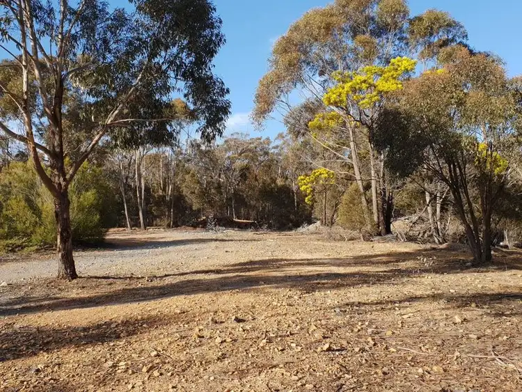 Seventh view of Homely rural property listing, 162 Willow Glen Road, Tarago NSW 2580