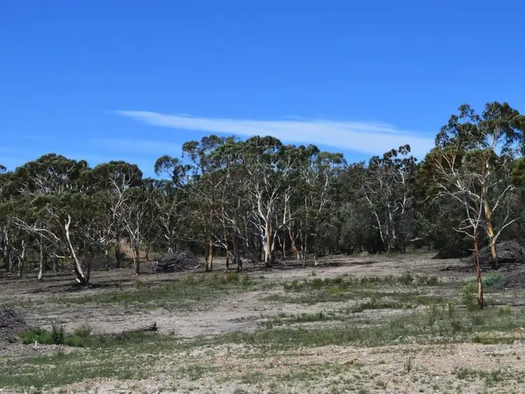 Sixth view of Homely rural property listing, 917 Sandy Point Road, Lower Boro NSW 2580