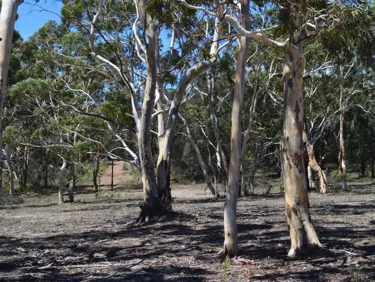 Seventh view of Homely rural property listing, 917 Sandy Point Road, Lower Boro NSW 2580