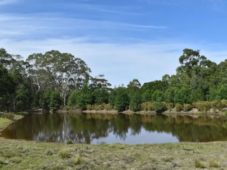 Third view of Homely rural property listing, 2724 Mayfield Road, Lower Boro NSW 2580