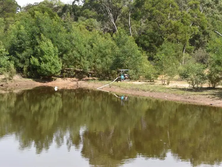 Fourth view of Homely rural property listing, 2724 Mayfield Road, Lower Boro NSW 2580