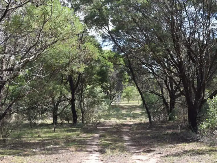 Seventh view of Homely rural property listing, 2724 Mayfield Road, Lower Boro NSW 2580