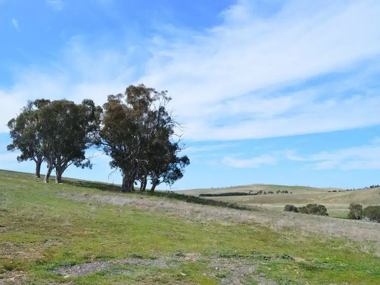 Fourth view of Homely land listing, 116 Mulwaree Street, Tarago NSW 2580