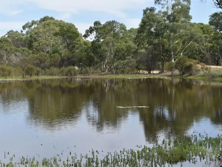 2571 Mayfield Road, Lower Boro NSW 2580