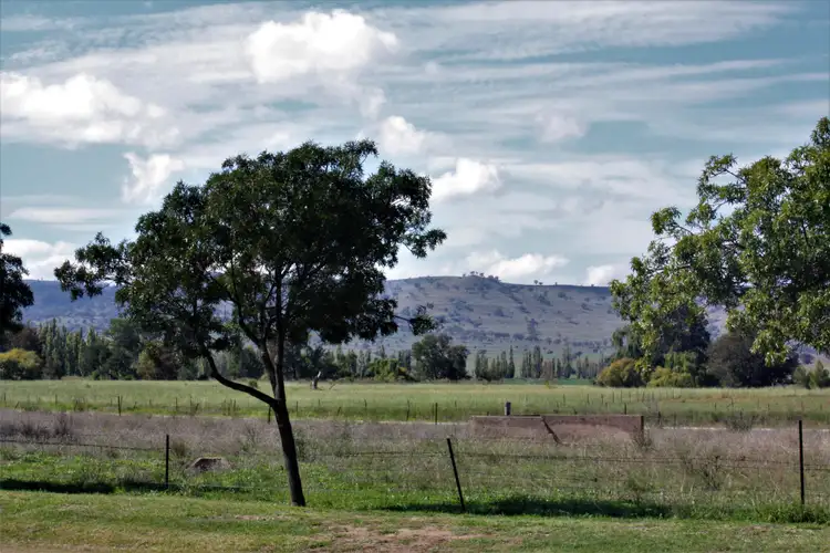 Third view of Homely house listing, 137 Binnia Street, Coolah NSW 2843