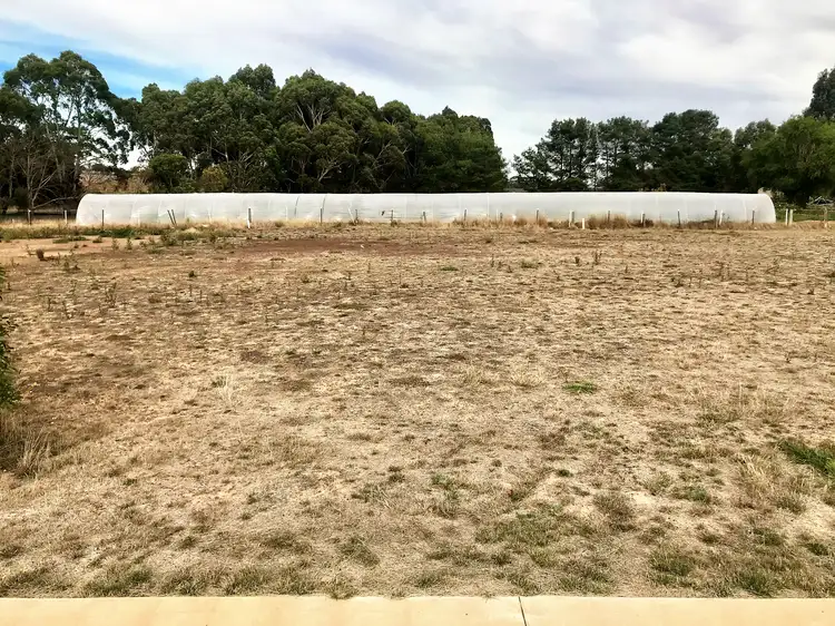 Main view of Homely land listing, LOT 6/8 Creek Court, Ballan VIC 3342