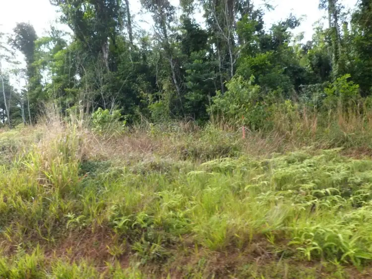 Seventh view of Homely land listing, LOT 1/585 El Arish Mission Beach Road, Maria Creeks, Maria Creeks QLD 4855