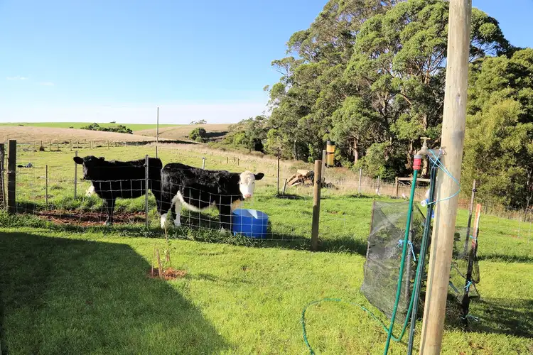 Third view of Homely house listing, 87 Connells Cross Road, Scotchtown TAS 7330