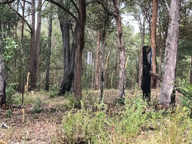 Fourth view of Homely land listing, LOT 6 Tandur - Traveston Rd, Traveston QLD 4570