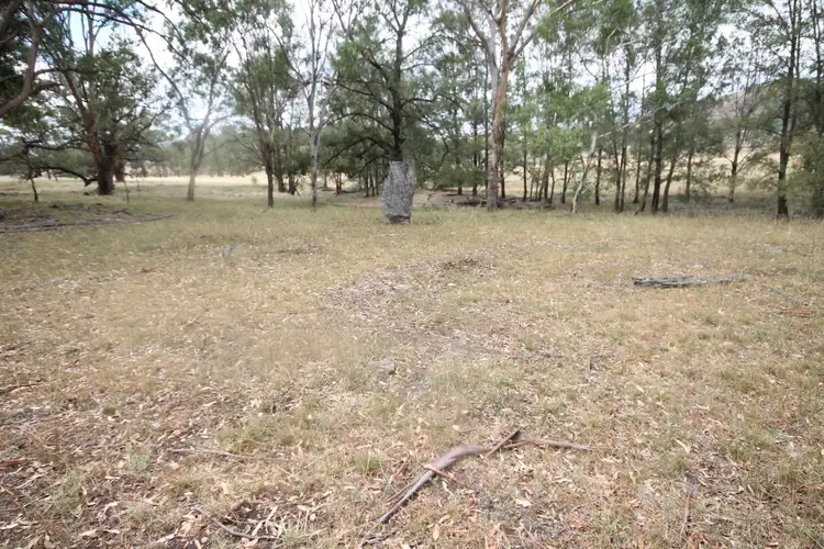 Sixth view of Homely rural property listing, 1947 PEMBROKE ROAD, Cassilis NSW 2329