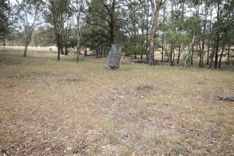 Seventh view of Homely rural property listing, 1947 PEMBROKE ROAD, Cassilis NSW 2329