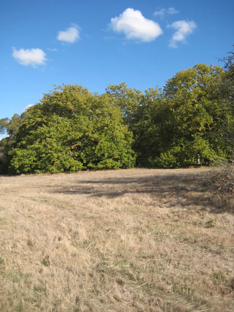 Fifth view of Homely land listing, LOT 5 Norton Road, Macedon VIC 3440