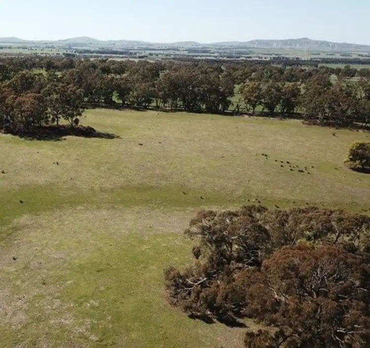 708 Jones, Beaufort VIC 3373