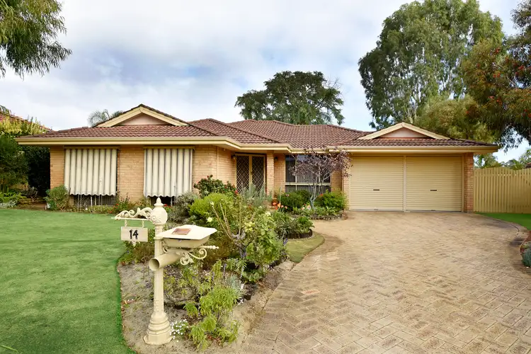 Main view of Homely house listing, 14 KAREL COURT, Alexander Heights WA 6064
