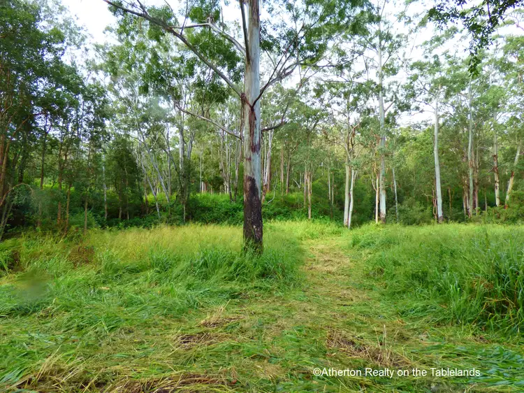 Seventh view of Homely land listing, LOT 4/40 Elms Road, Wondecla QLD 4887