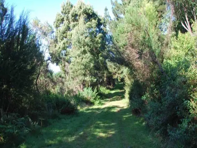 Third view of Homely rural property listing, 3665 South Gippsland Highway, Foster VIC 3960