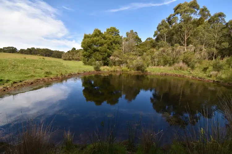 Fourth view of Homely rural property listing, 885 Woorarra Road, Toora VIC 3962
