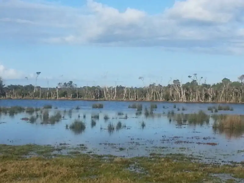 Main view of Homely rural property listing, Telegraph Road, Port Welshpool VIC 3965