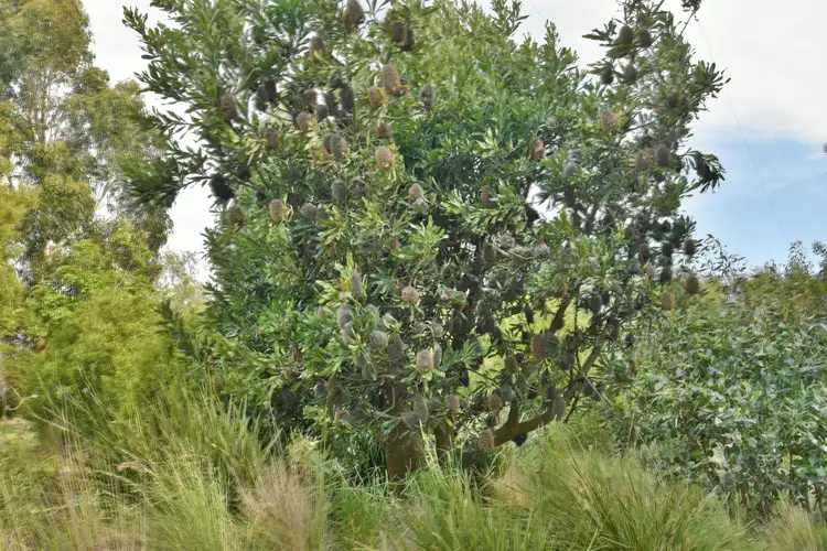 Sixth view of Homely land listing, 21 Mathers Road, Fish Creek VIC 3959