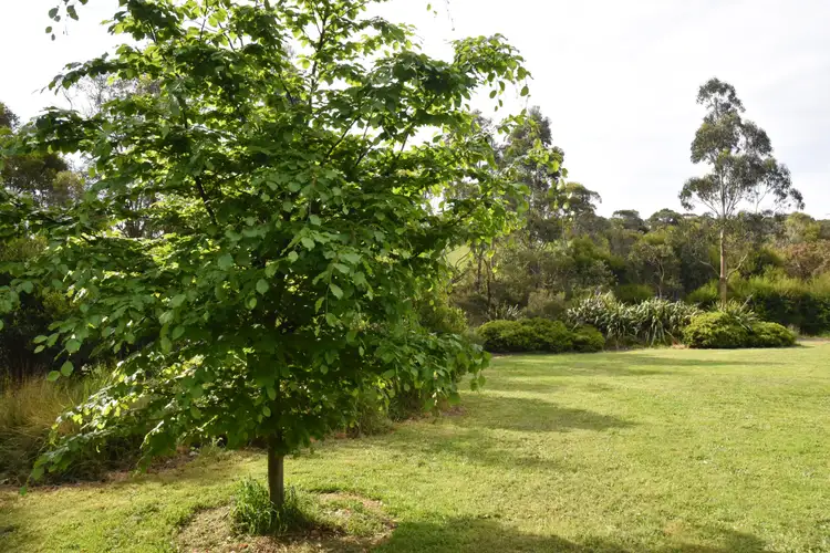 Seventh view of Homely land listing, 21 Mathers Road, Fish Creek VIC 3959