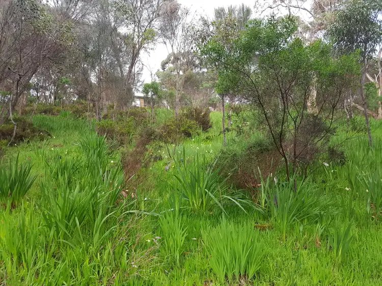 Sixth view of Homely land listing, LOT 18 Scenic Drive, American River SA 5221