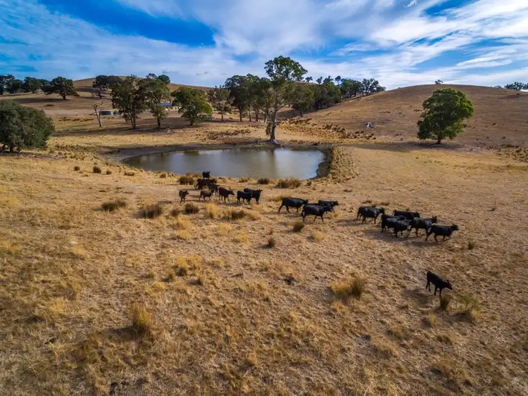 Second view of Homely land listing, 95 Goldfield Close, Reedy Creek VIC 3658
