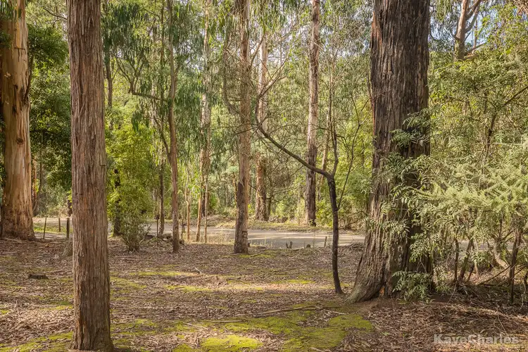 Second view of Homely house listing, 6 Suffolk Avenue, Cockatoo VIC 3781